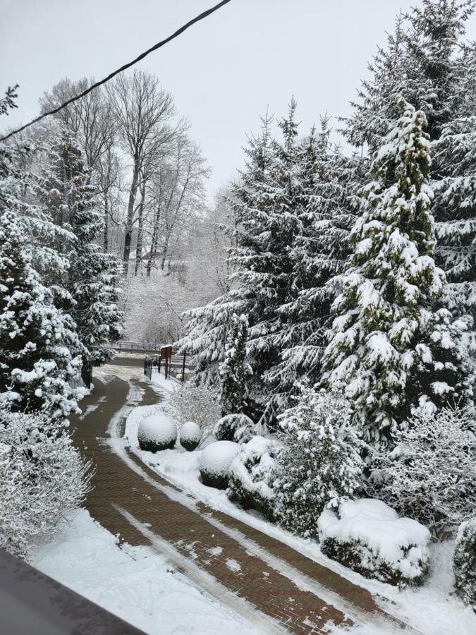 Agroturystyka Nad Strumykiem Лєшна Екстер'єр фото